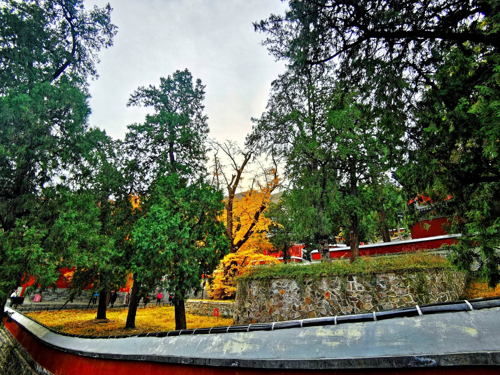 a1f2ad3764344e8297d08b17cef677b0.jpg